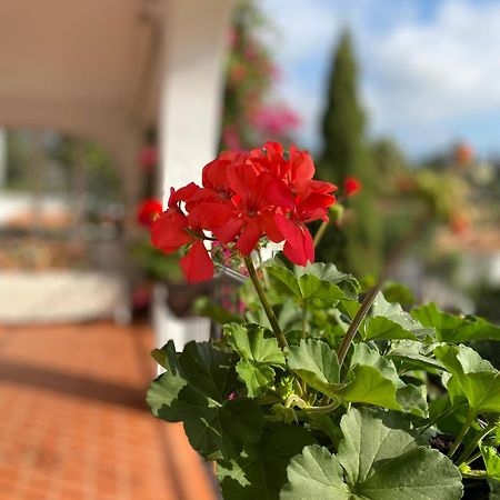 Ferienwohnung Casa Zawadi Mijas Exterior foto