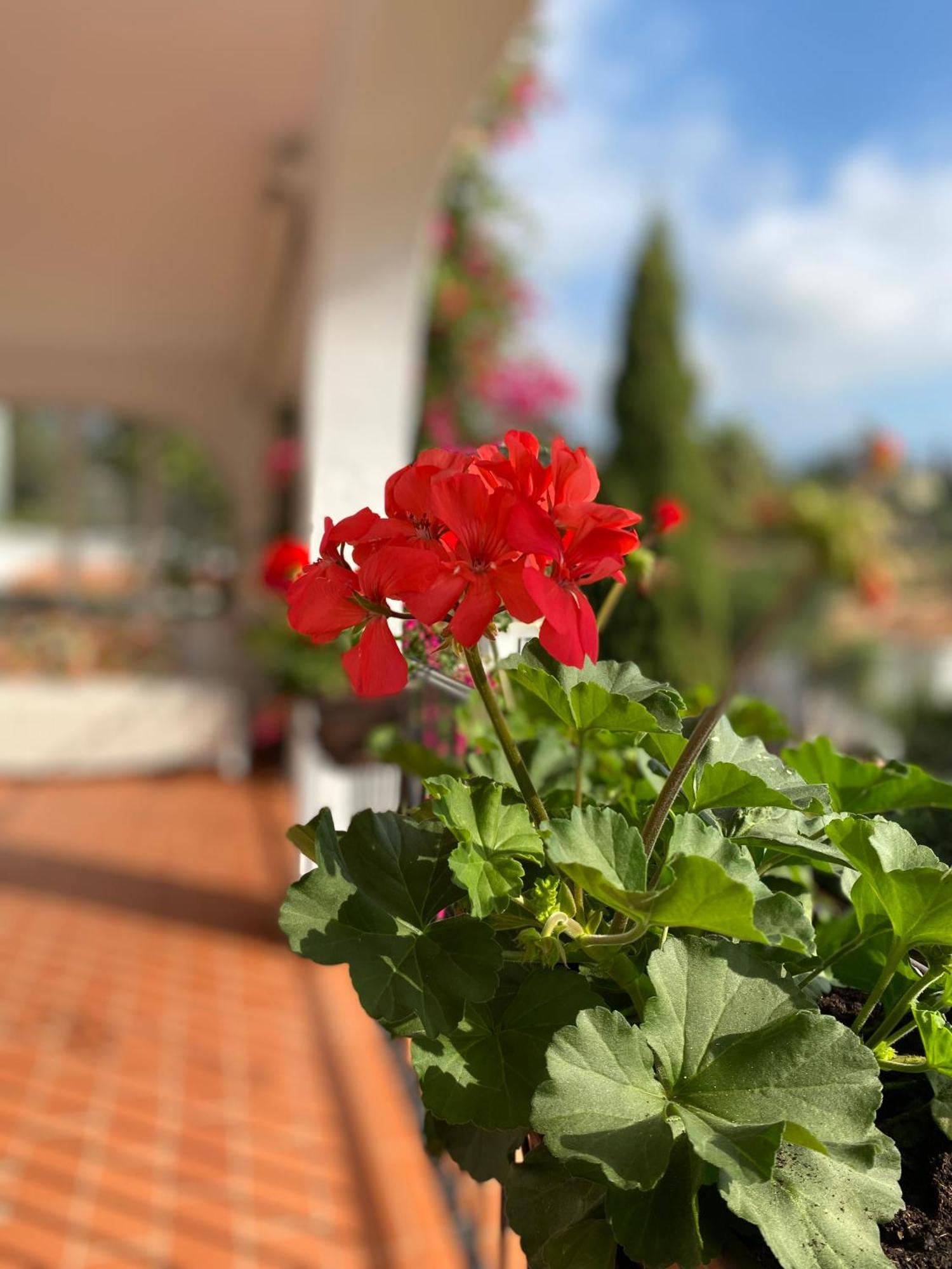 Ferienwohnung Casa Zawadi Mijas Exterior foto